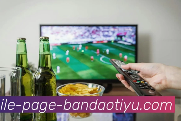 半岛体育发展历程